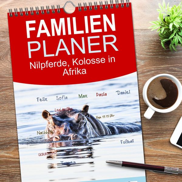 Produktbild: Familienplaner 2026 - Nilpferde, Kolosse in Afrika mit 5 Spalten (Wandkalender, 21 x 45 cm) CALVENDO
