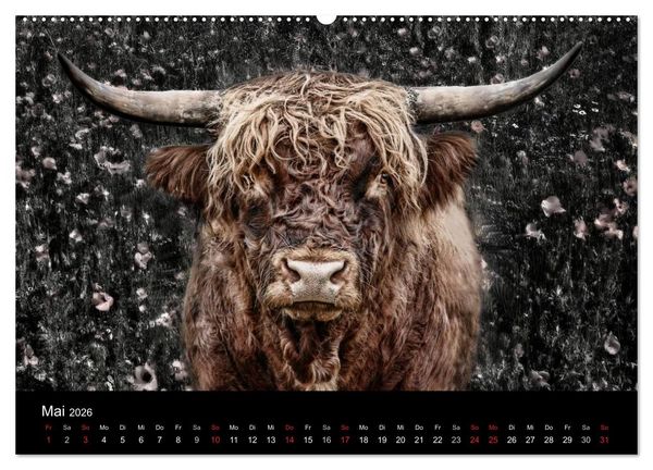 Produktbild: Tierisches (Wandkalender 2026 DIN A2 quer), CALVENDO Monatskalender