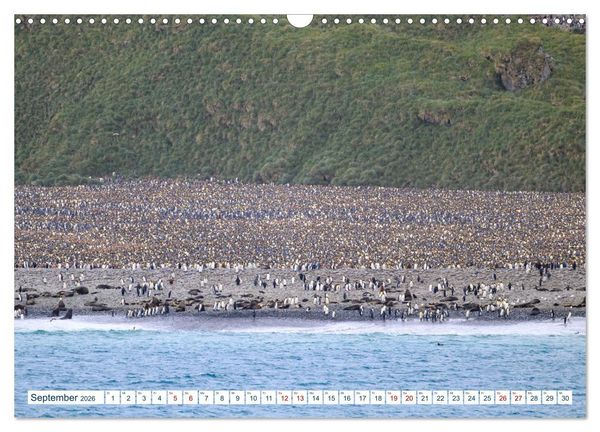 Produktbild: S&uuml;dgeorgien - Abgelegenes Naturparadies (Wandkalender 2026 DIN A3 quer), CALVENDO Monatskalender