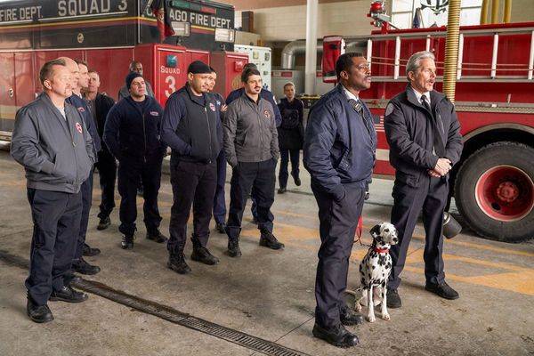 Chicago Fire - Staffel 7 [6 DVDs]