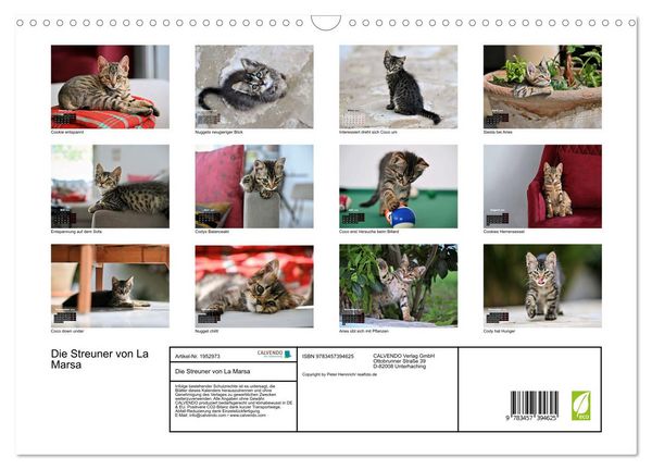 Produktbild: Die Streuner von La Marsa (Wandkalender 2026 DIN A3 quer), CALVENDO Monatskalender
