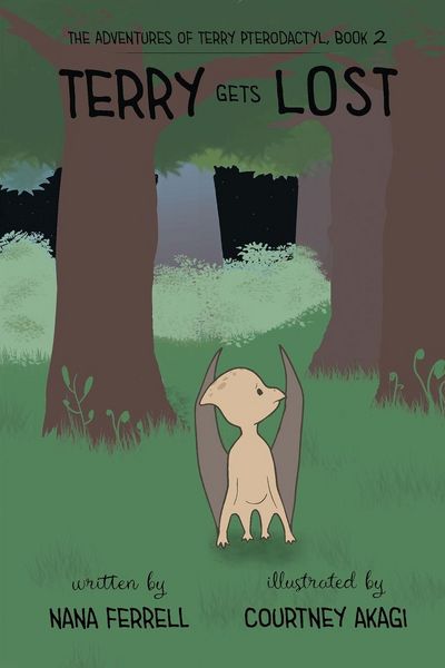 Produktbild: Terry Gets Lost