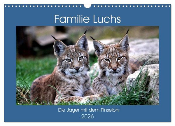 Produktbild: Familie Luchs - Die J&auml;ger mit dem Pinselohr (Wandkalender 2026 DIN A3 quer), CALVENDO Monatskalender