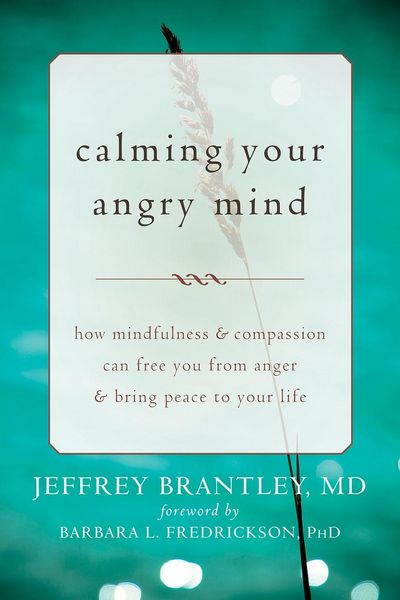Produktbild: Calming Your Angry Mind