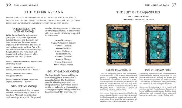 Produktbild: The Gothic Steampunk Tarot