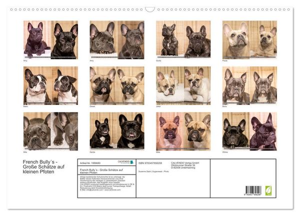 Produktbild: French Bully&acute;s - Gro&szlig;e Sch&auml;tze auf kleinen Pfoten (Wandkalender 2026 DIN A2 quer), CALVENDO Monatskalender