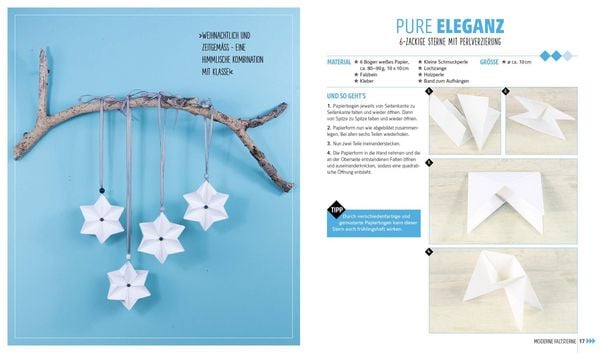 Produktbild: Weihnachtssterne? Gerne!
