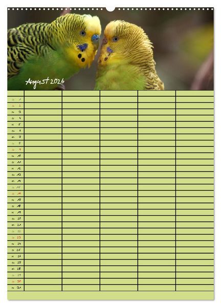 Produktbild: Der Wellensittich-Familienplaner (hochwertiger Premium Wandkalender 2026 DIN A2 hoch), Kunstdruck in Hochglanz