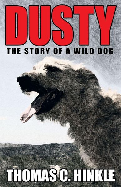 Produktbild: Dusty