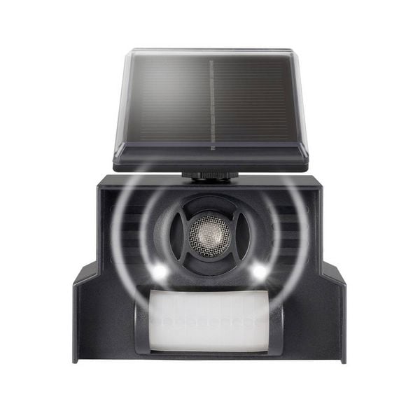 Produktbild: Gardigo Vogelvertreiber Funktionsart Solar, Ultraschall 1St.