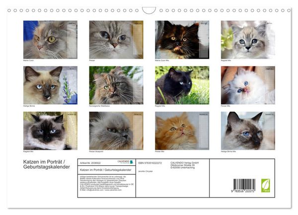 Produktbild: Katzen im Portr&auml;t / Geburtstagskalender (Wandkalender 2026 DIN A3 quer), CALVENDO Monatskalender