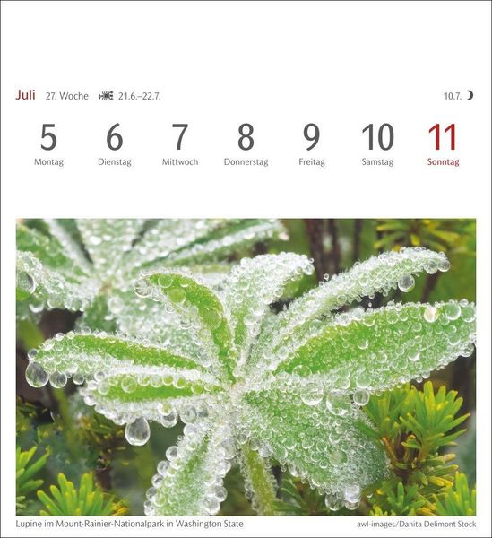 Produktbild: Farben der Natur Postkartenkalender 2027 - Wochenkalender mit 53 Postkarten