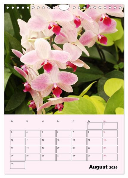 Produktbild: Orchideenliebe (Wandkalender 2026 DIN A4 hoch), CALVENDO Monatskalender