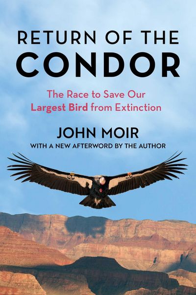 Produktbild: Return of the Condor