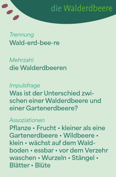 Produktbild: Wortschatzk&auml;rtchen: Im Wald