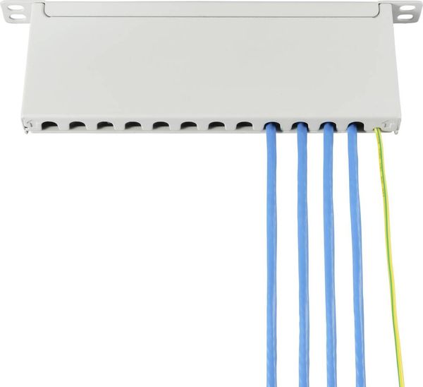 Produktbild: Renkforce RF-4996628 12 Port Patch-Panel 254mm (10") CAT 6a 0.5 HE Grau Best&uuml;ckt