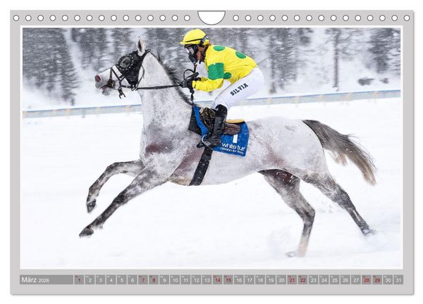 Produktbild: Pferde-Rennen auf Schnee und im Wasser (Wandkalender 2026 DIN A4 quer), CALVENDO Monatskalender