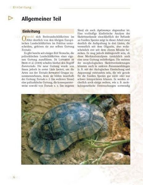 Produktbild: Die Breitrandschildkr&ouml;te