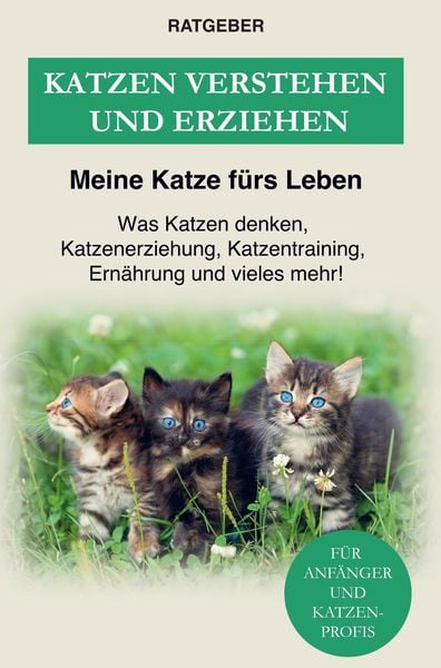 Katzen erziehen und verstehen, Taschenbuch von Ratgeber Meine Katze fürs Leben, Bookmundo Direct, 9789403622118