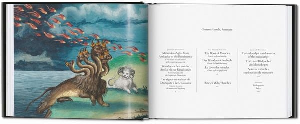 Produktbild: The Book of Miracles