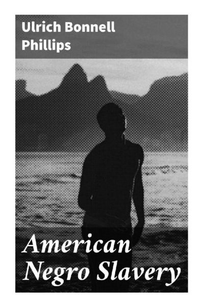 Produktbild: American Negro Slavery