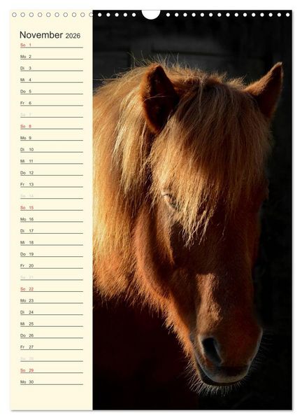 Produktbild: Islandpferde Geburtstagskalender (Wandkalender 2026 DIN A3 hoch), CALVENDO Monatskalender