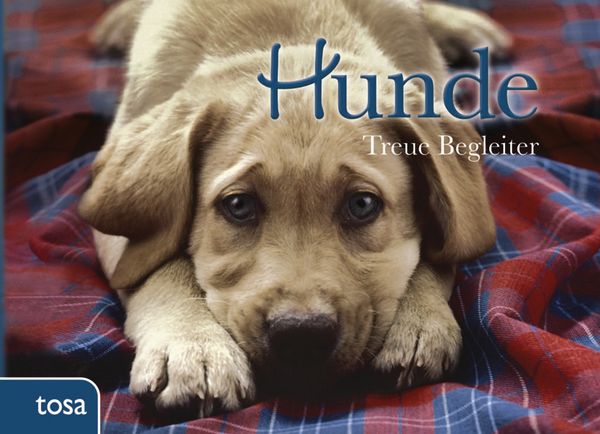 Produktbild: Hunde