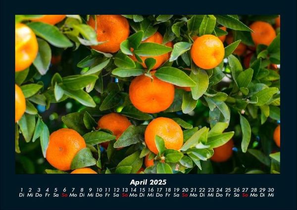Produktbild: Obstkalender 2025 Fotokalender DIN A4