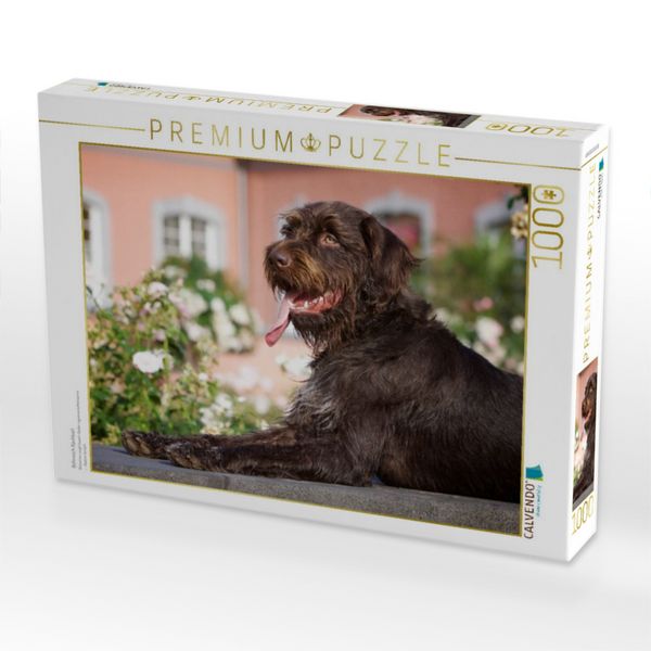 Produktbild: CALVENDO Puzzle B&ouml;hmisch Rauhbart | 1000 Teile Lege-Gr&ouml;&szlig;e 64x48cm Foto-Puzzle f&uuml;r gl&uuml;ckliche Stunden