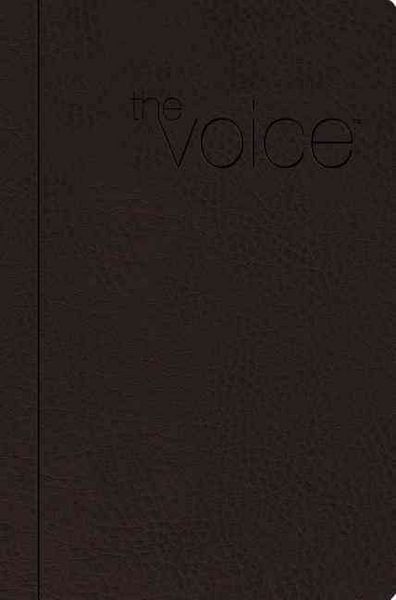 Produktbild: Voice Bible-VC: Step Into the Story of Scripture