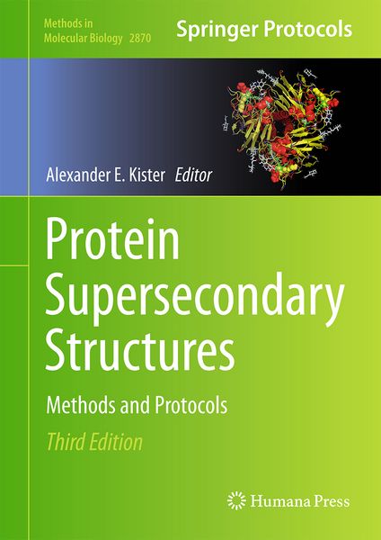 Produktbild: Protein Supersecondary Structures