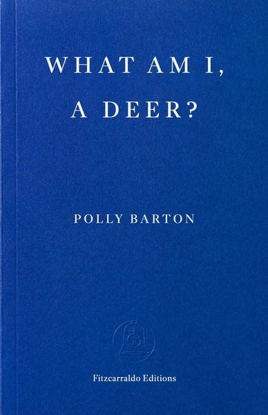 Produktbild: What Am I, A Deer?