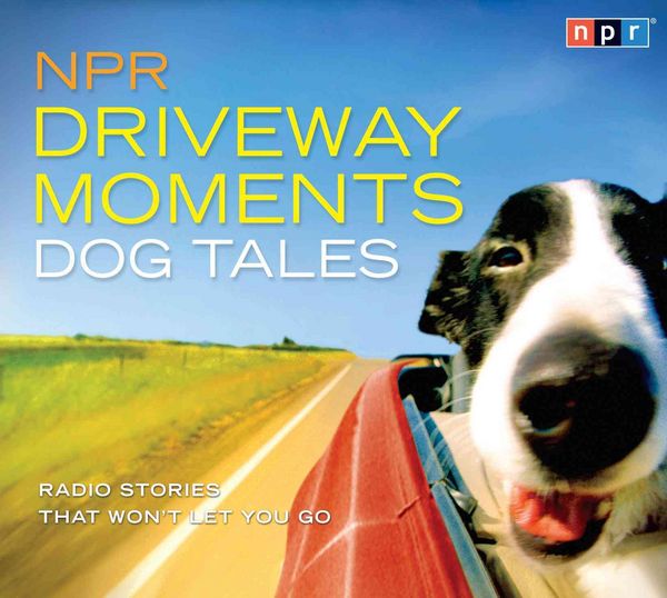 Produktbild: NPR DRIVEWAY MOMENTS DOG TA 2D