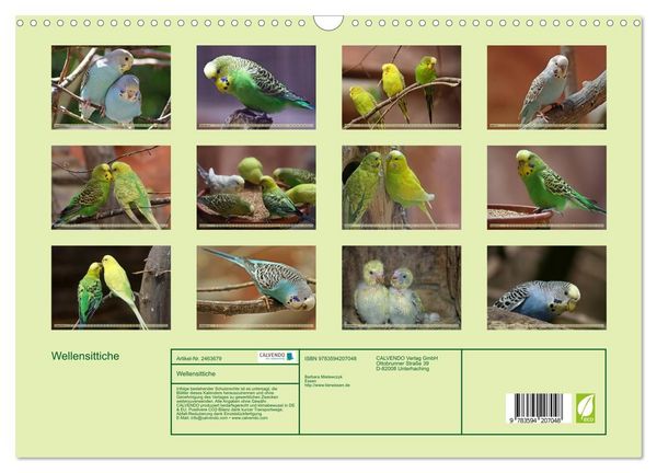 Produktbild: Wellensittiche (Wandkalender 2027 DIN A3 quer), CALVENDO Monatskalender