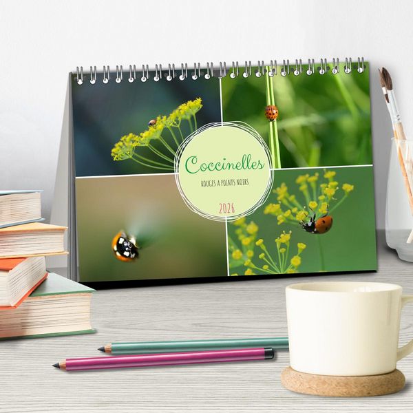Produktbild: Coccinelles rouges &agrave; points noirs (Calendrier de bureau 2026 DIN A5 vertical), CALVENDO calendrier mensuel