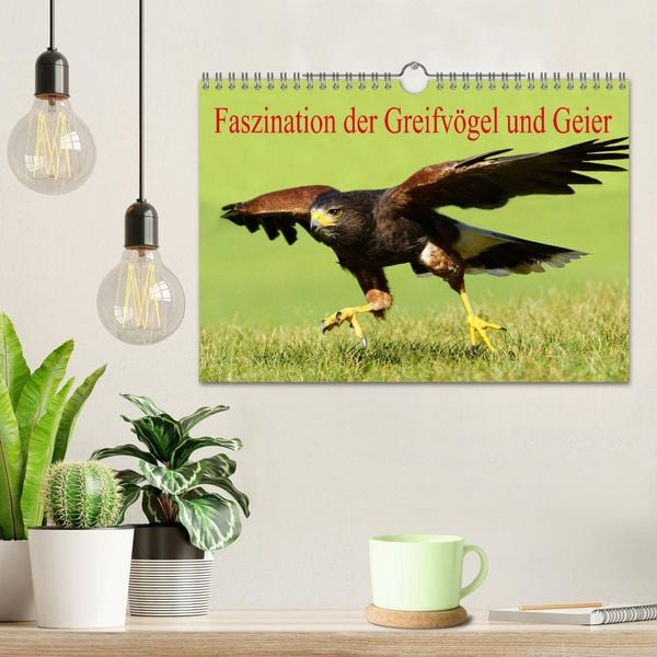 Produktbild: Faszination der Greifv&ouml;gel und Geier (Wandkalender 2026 DIN A4 quer), CALVENDO Monatskalender