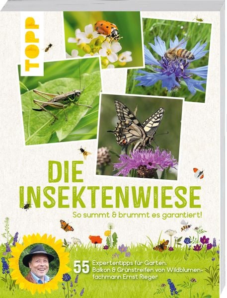 Die Insektenwiese: So summt & brummt es garantiert!