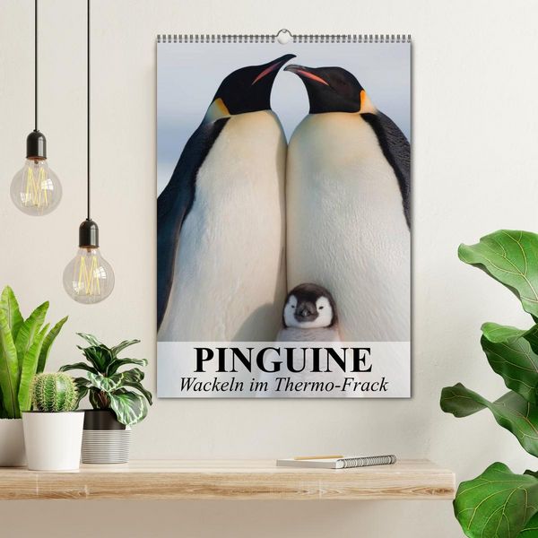 Produktbild: Pinguine - Wackeln im Thermo-Frack (Wandkalender 2026 DIN A2 hoch), CALVENDO Monatskalender