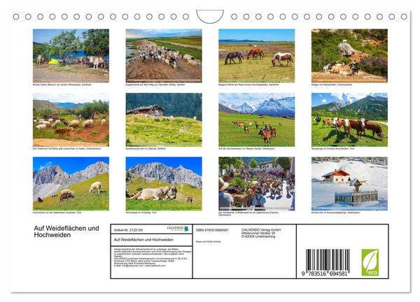 Produktbild: Auf Weidefl&auml;chen und Hochweiden (Wandkalender 2026 DIN A4 quer), CALVENDO Monatskalender