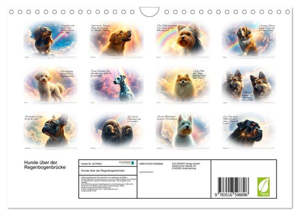 Produktbild: Hunde &uuml;ber der Regenbogenbr&uuml;cke (Wandkalender 2026 DIN A4 quer), CALVENDO Monatskalender
