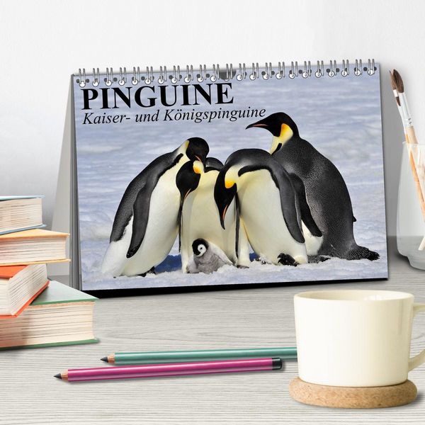 Produktbild: Pinguine - Kaiser- und K&ouml;nigspinguine (Tischkalender 2026 DIN A5 quer), CALVENDO Monatskalender