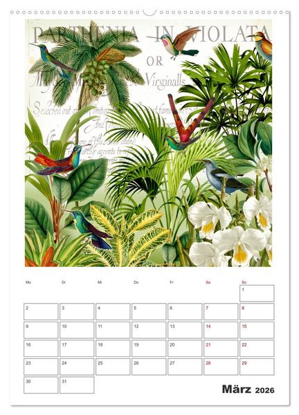 Produktbild: Das Paradies der Kolibris (hochwertiger Premium Wandkalender 2026 DIN A2 hoch), Kunstdruck in Hochglanz