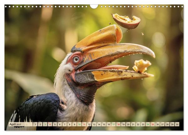 Produktbild: Nashornv&ouml;gel (Wandkalender 2027 DIN A3 quer), CALVENDO Monatskalender