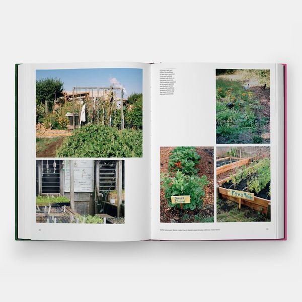 Produktbild: The Kitchen Garden