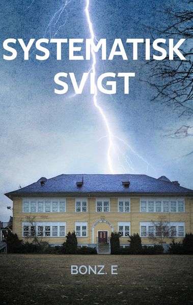 Produktbild: Systematisk svigt