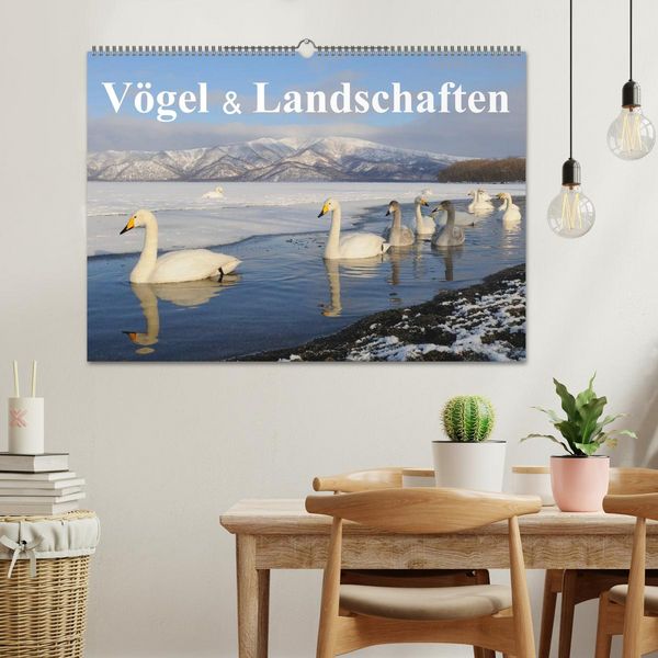 Produktbild: V&ouml;gel & Landschaften (Wandkalender 2026 DIN A2 quer), CALVENDO Monatskalender