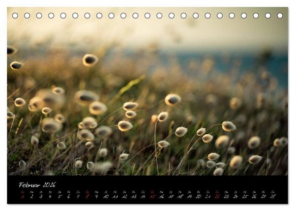 Produktbild: Frankreich Bretagne (Tischkalender 2026 DIN A5 quer), CALVENDO Monatskalender