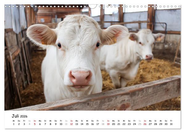 Produktbild: Hans der Bauer und seine Tiere auf dem Bauernhof (Wandkalender 2026 DIN A3 quer), CALVENDO Monatskalender