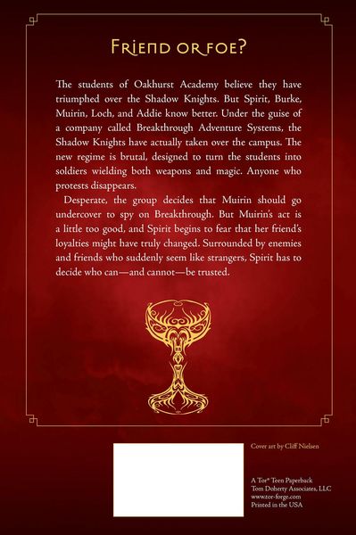 Produktbild: Shadow Grail #3