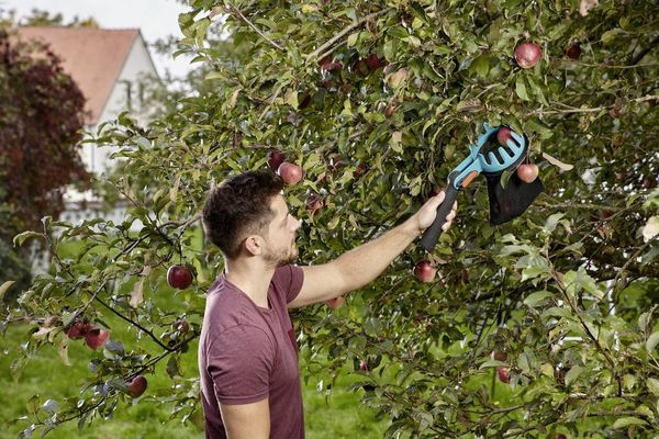 Produktbild: GARDENA 03115-20 Obstpfl&uuml;cker Combisystem